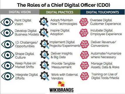 Как получить должность chief quantum officer
