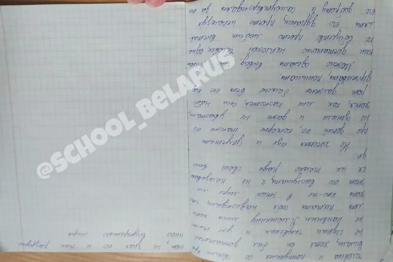 лит сочинения. где здесь ошибка. лит сочинения. этот большой мир текст. сочинение на тему дубровский.