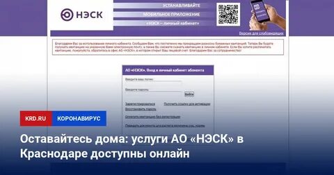 Нэск дежурный телефон