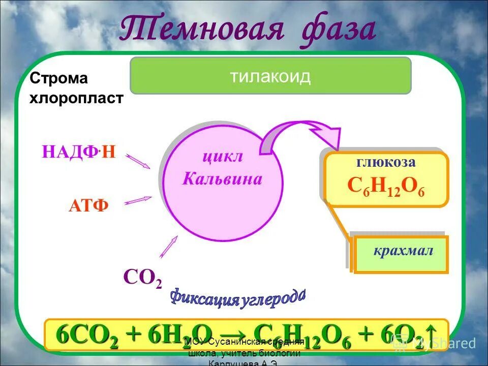 формула образования глюкозы. получение глюкозы из co2. суммарное уравнение реакции фотосинтеза. реакция фотосинтеза. получение спирта из крахмала.