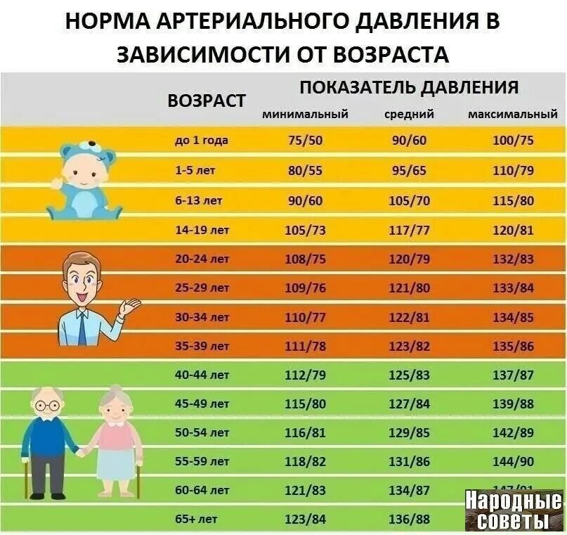 Давление в зависимости от возраста таблица. Таблица артериального давления в зависимости от возраста и пола. таблица показаний артериального давления по возрастам таблица. давление человека норма по возрасту у мужчин 50 лет таблица. давление человека норма по возрасту у женщин 70 лет таблица и пульс.