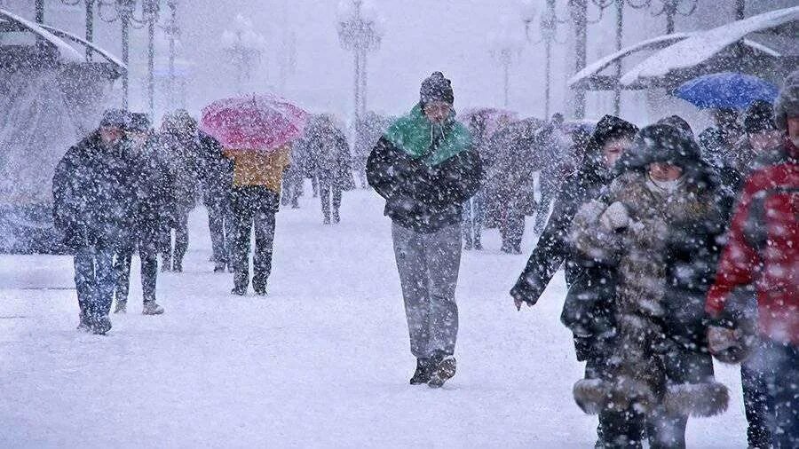 В течение часа шел снег