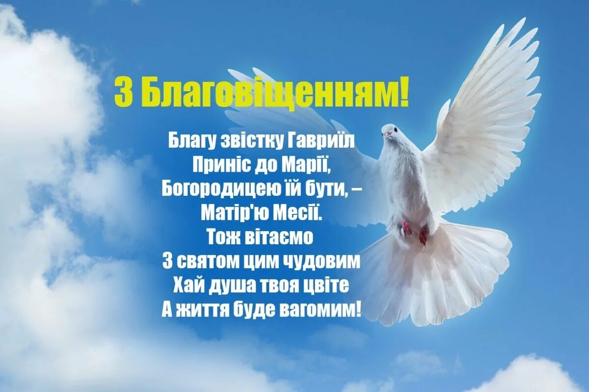 Открытки с благовещением на украинском языке. Благовещение поздравления. С Благовещением Пресвятой Богородицы поздравления. Поздравление с Благовещением на украинском. С Благовещением открытки.