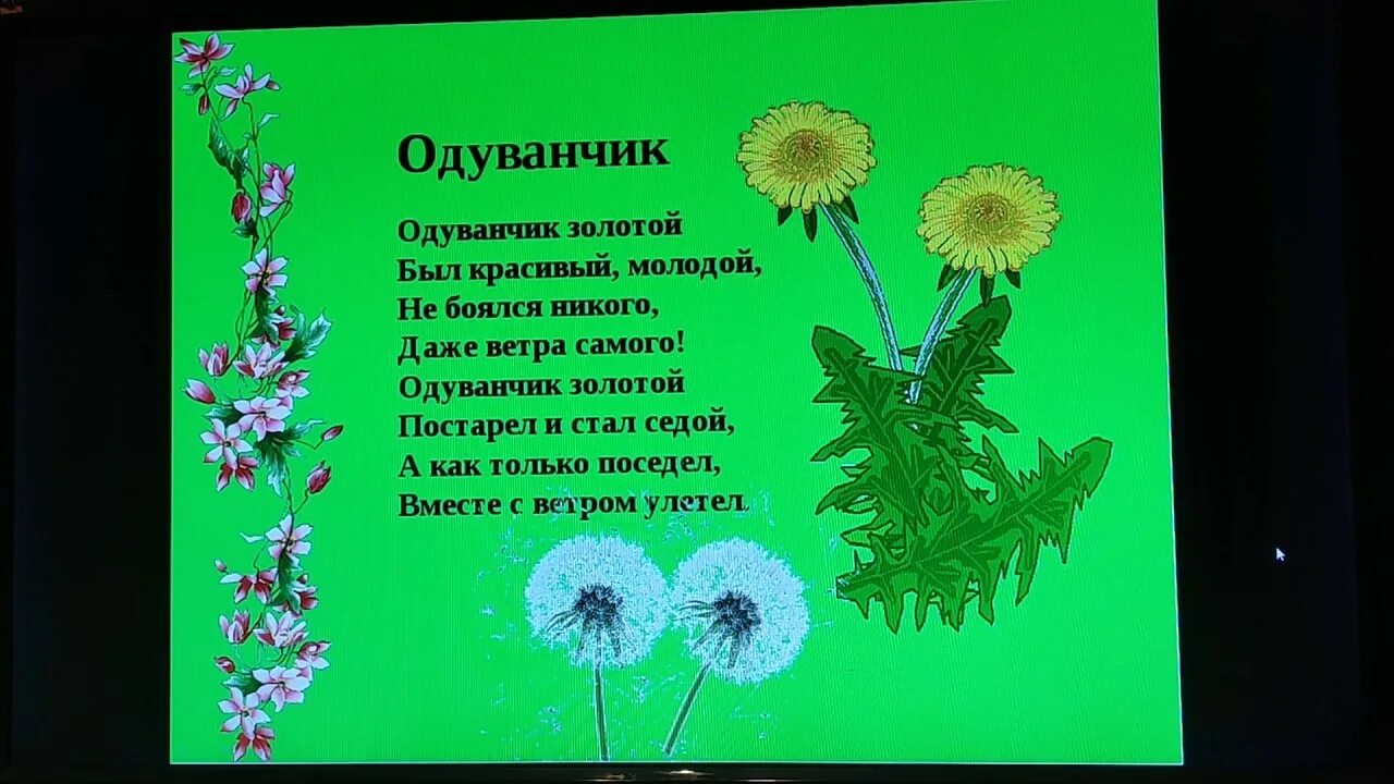 О и высоцкой одуванчик. Александрова одуванчик стихотворение. Одуванчик золотой стихотворение. З Александрова одуванчик стихотворение.