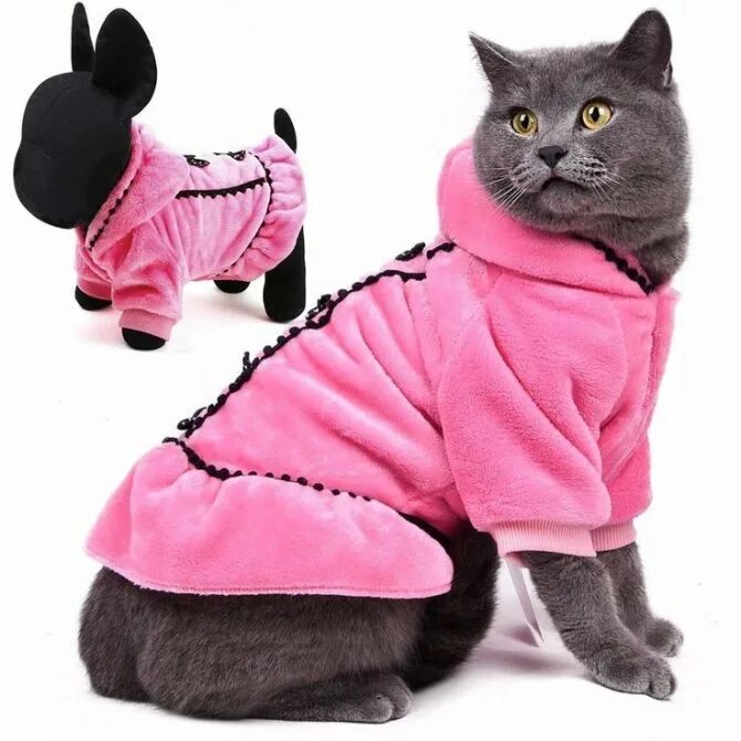 интернет магазин кошек. корм для кошек вискас для стерилизованных кошек. силикпгелевоэ- древесный наполнитель. вискас шоубокс. корма для кошек на озоне.