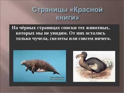 Про черную книгу