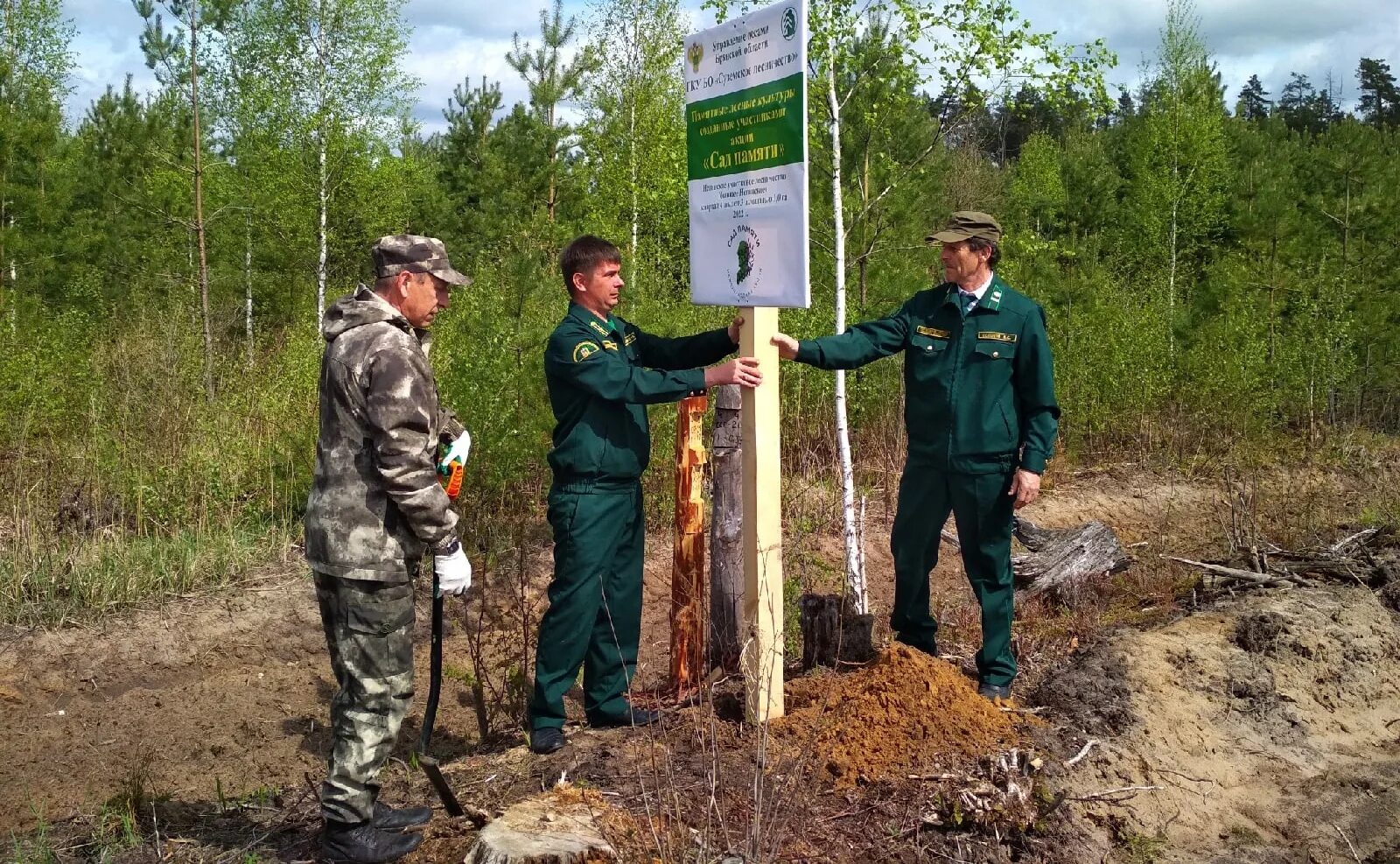 Суземское лесничество. Гку со «успн ивантеевского района». Директор суземского лесничества. Суземское лесничество. Гку бо габо.