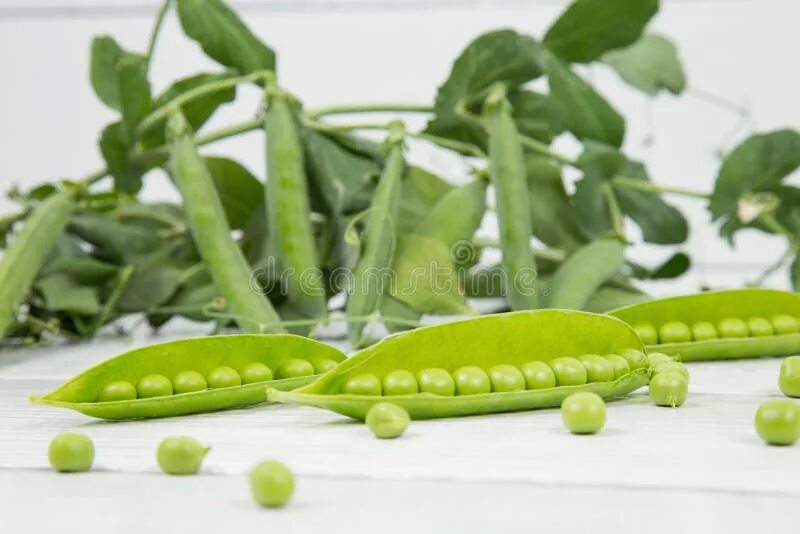 Raw Peas. Красный Стручик. Сырой горох