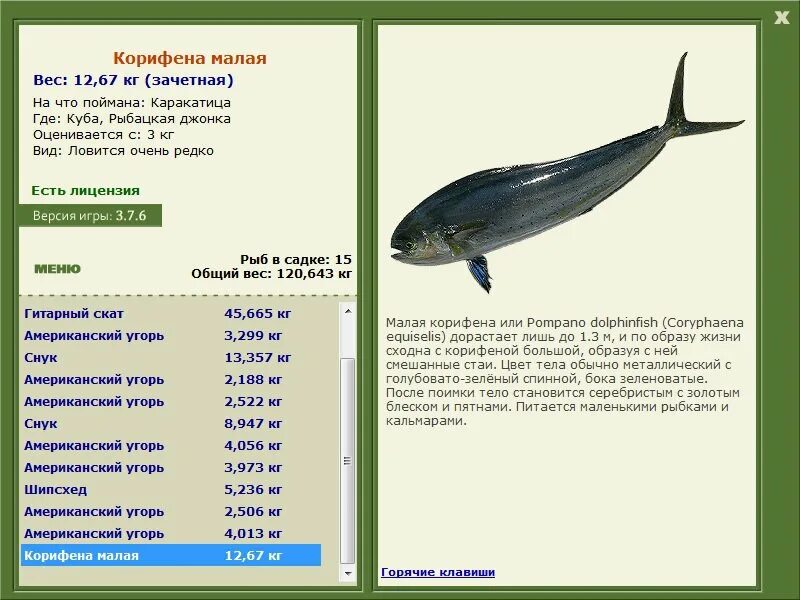 тропическое 6 букв сканворд. папайя рамбутан маракуйя. пальма панданус плоды. сканворды. папайя на бали.