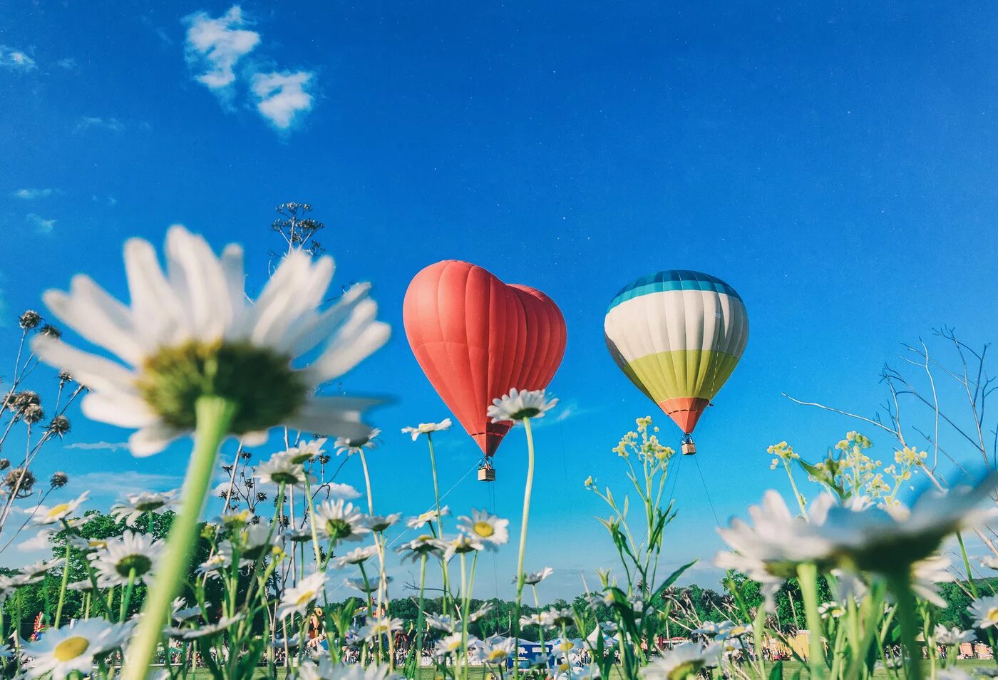Воздушные шары весной. Лето воздушный шар. Цветы с воздушным шаром. Воздушные шары и цветы.