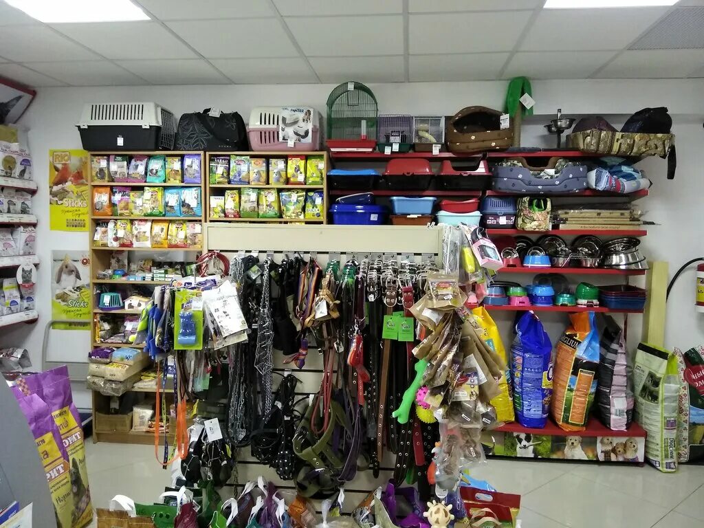 зоомагазин центральный. зоотовары центральный рынок. экстрим москва зоомагазин. зоомагазины в москве. магазин животных гомель.