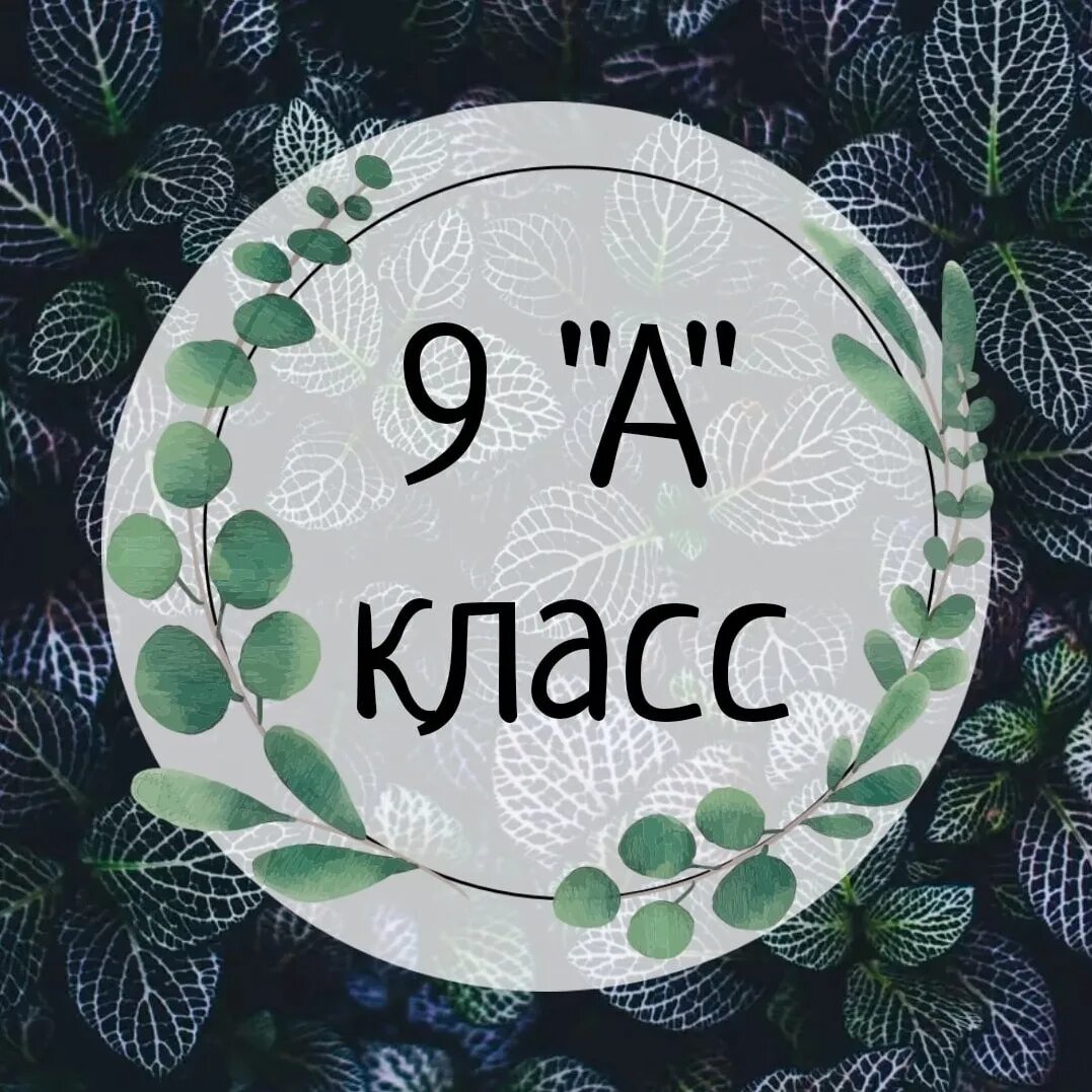 9 Класс. 9 Класс картинка. 9 Класс надпись. 9 Класс эмблема.