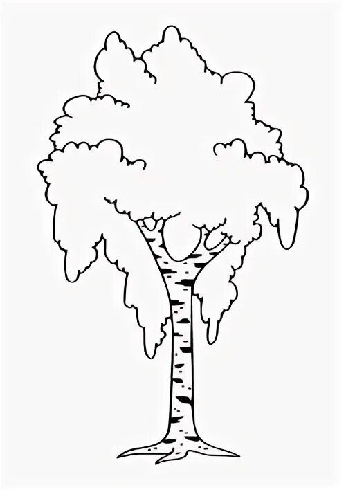 Береза раскраска для детей распечатать Birch Tree coloring pages