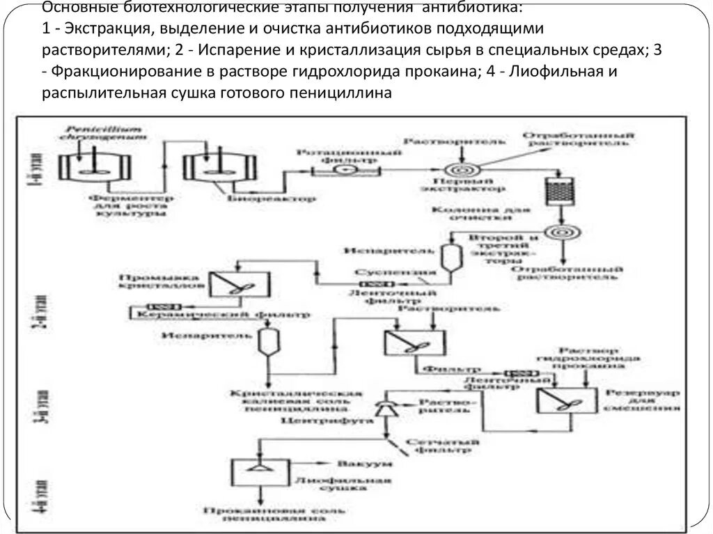 Этапы биотехнологии. Технологическая схема производства антибиотика пенициллина. Общая технологическая схема биотехнологического производства. Технологическая схема производства стрептомицина. Схема промышленного биотехнологического производства антибиотиков.