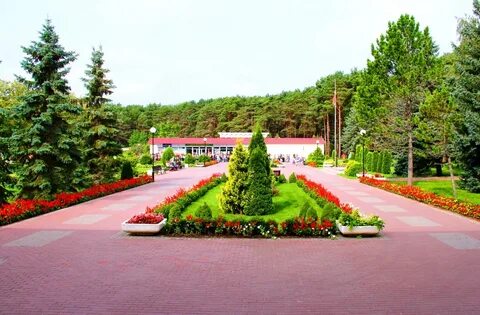 Зубренок лагерь беларусь