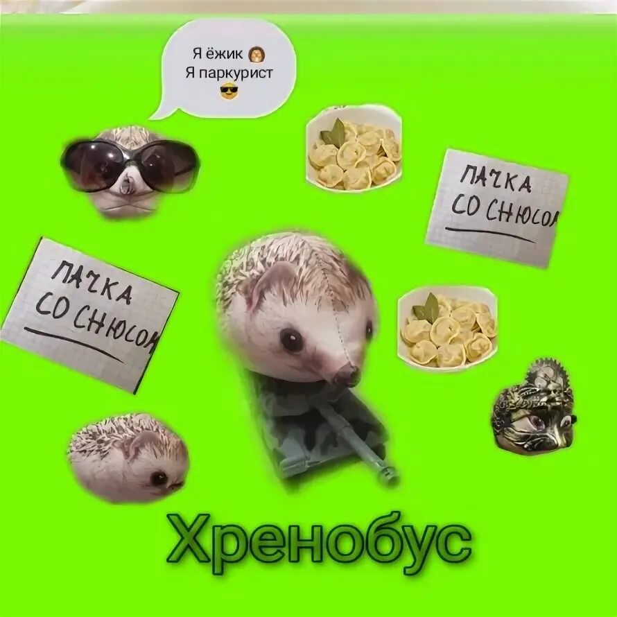 Еж озон
