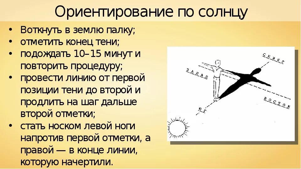 На какой стороне горизонта встает солнце. Способы ориентирования на местности по солнцу. 3 Способа ориентирования по солнцу. Ориентирование по солнцу ОБЖ. Ориентирование на местности по солнцу 6 класс.