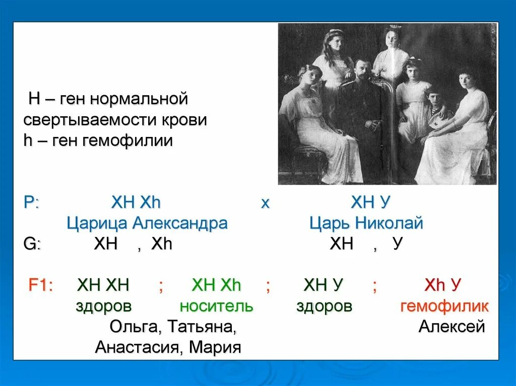 Мать носитель и гемофилия