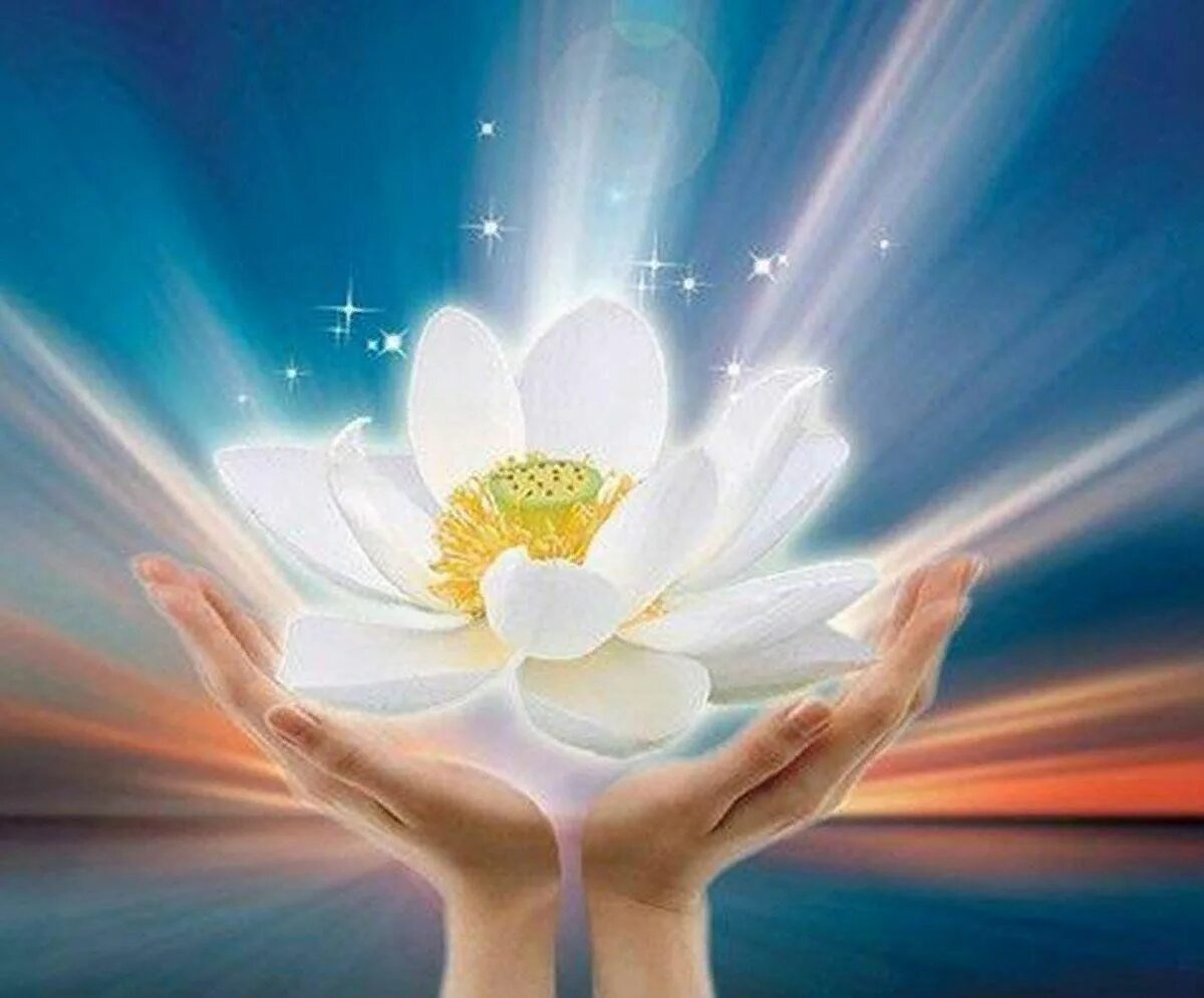 Цветок лотоса медитация АЛЛАТРА. Радость души. Гармония и счастье. Гармония и радость. Желание добра любимый человек