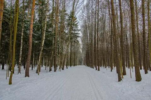 Мещерский парк прокат