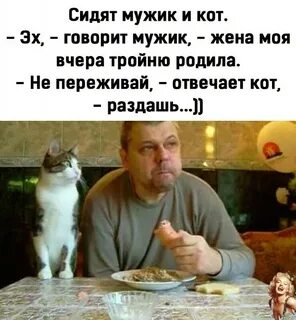 Кот отвечает