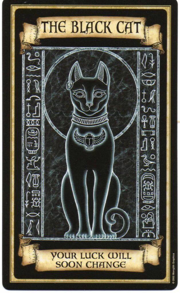Оракул хэллоуин галерея. Таро оракул полнолуния. Черный кот оракул. Черный кот оракул. Оракул темных кошек.