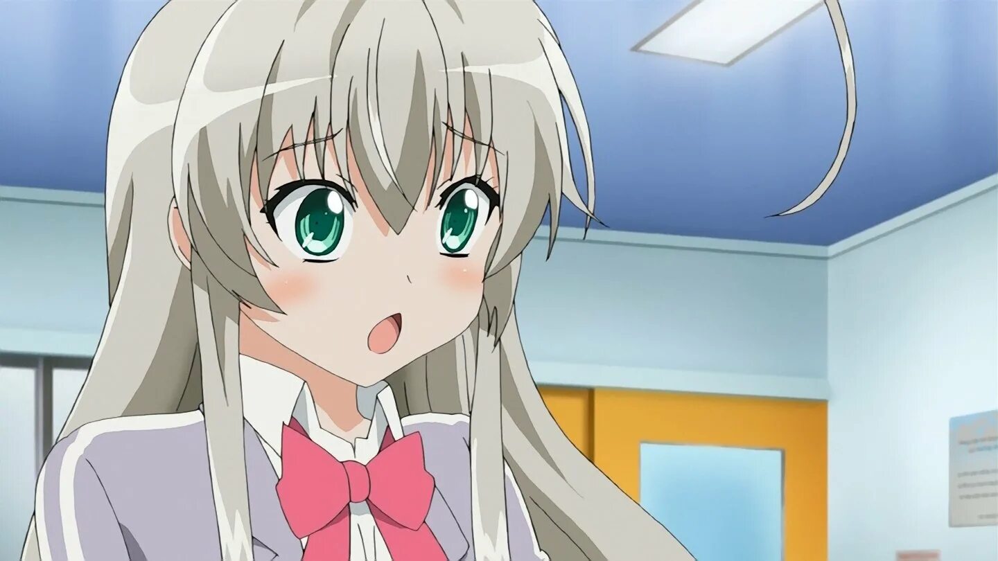 Nyaruko san