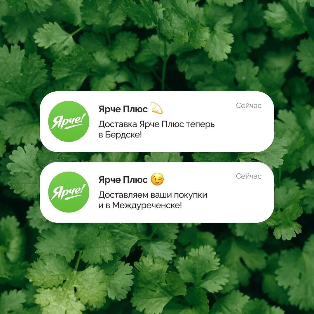 ярче плюс новосибирск. ярче плюс. речной вокзал, новосибирск, большевистская улица, 45/1. ярче рф новосибирск. фрунзе 53 новосибирск магазин ярче.