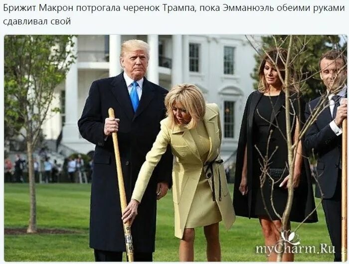 Жена макрона под прикрытием