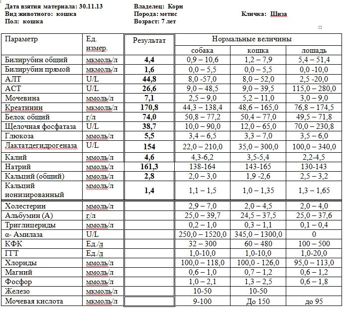 Биохимическое исследование крови собак норма. Таблица биохимические показатели крови собак. Норма биохимического анализа крови у собак таблица. Анализ крови у собаки биохимия расшифровка. Выезд анализ крови