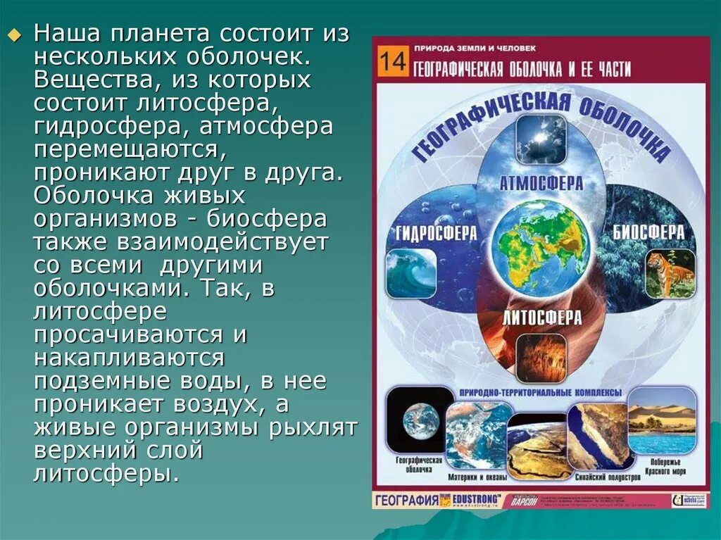 Географическая оболочка. Взаимосвязь биосферы с другими оболочками земли. Строение географической оболочки.