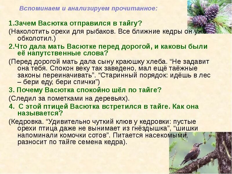 Что помогло васютке спастись. Зачем Васютка отправился в тайгу. Характеристика Васютки. Васютка в тайге. Васюткино озеро как Васютка выжил в тайге.