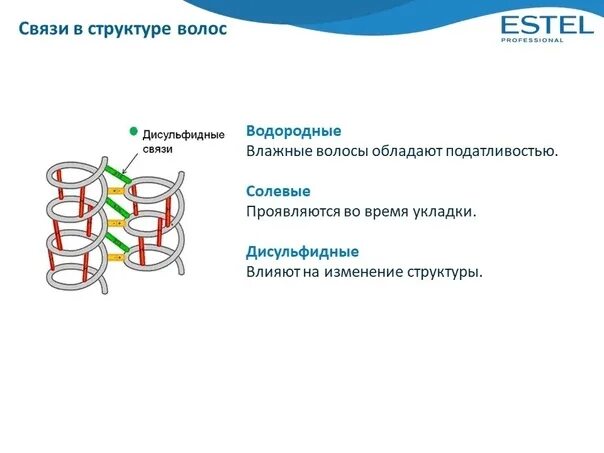 Водородные мостики. Связи в волосе водородная ионная дисульфидная. Химическое строение волоса дисульфидные связи. Связи в волосе водородные солевые дисульфидные. Дисульфидные связи в волосах.