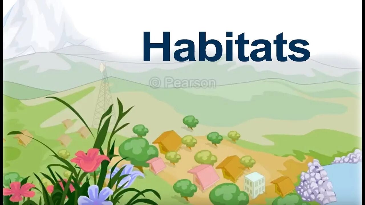 Natural Habitat. Examples of Habitats. Animal Habitats. Animal Habitat for Kids. Habitat help