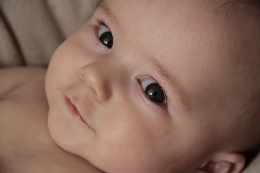 Почему у новорожденного глазки. Малиш с карими глазами. Малыш с карими глазами. Кареглазый малыш. Младенец с карими глазами.