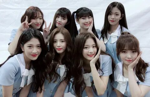 Korean groups