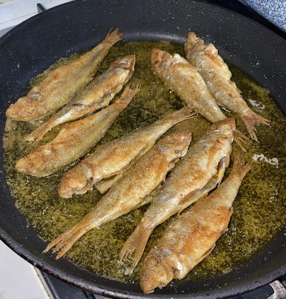 барабуля султанка. барабулька рыба жареная. барабулька крымская. барабулька рыба жареная. барабуля рыба жареная.