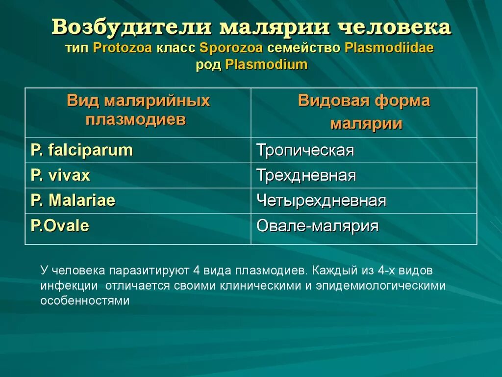 Симптомы характерные для малярии. Классификация малярии. Малярия возбудитель. Возбудители и формы малярии. Классификация возбудителей малярии.