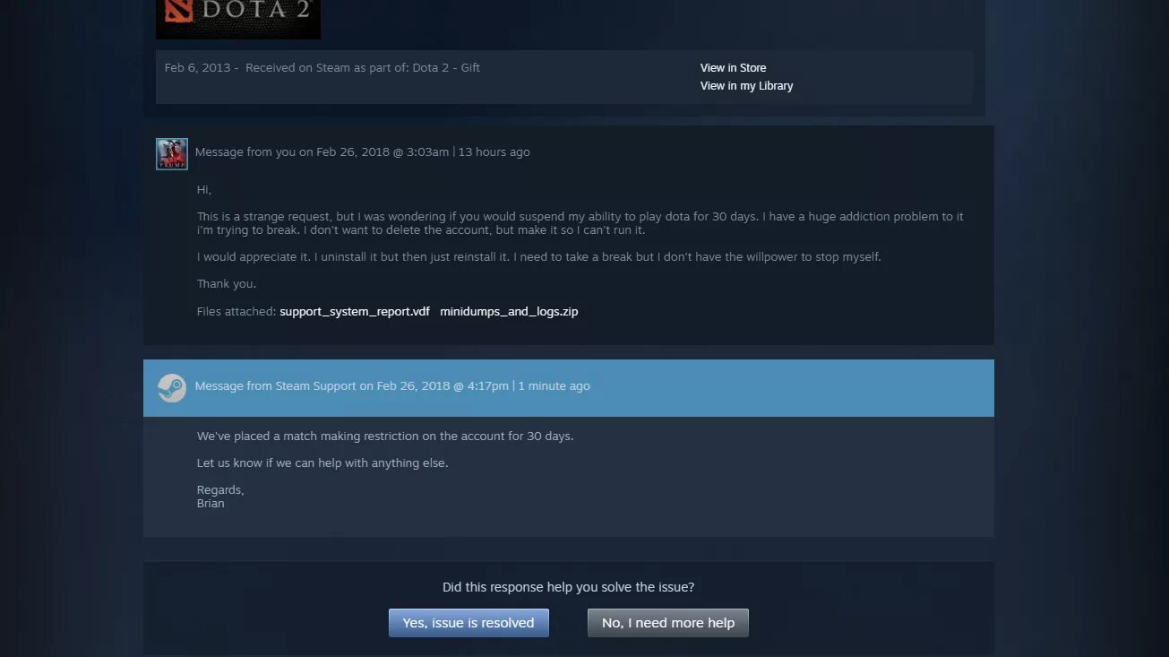 Support dota 2 что это