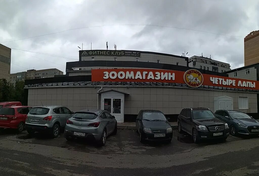 четыре лапы пушкино. четыре лапы королёв. зоомагазин магазин королев. 4 лапы королев. четыре лапы королев.