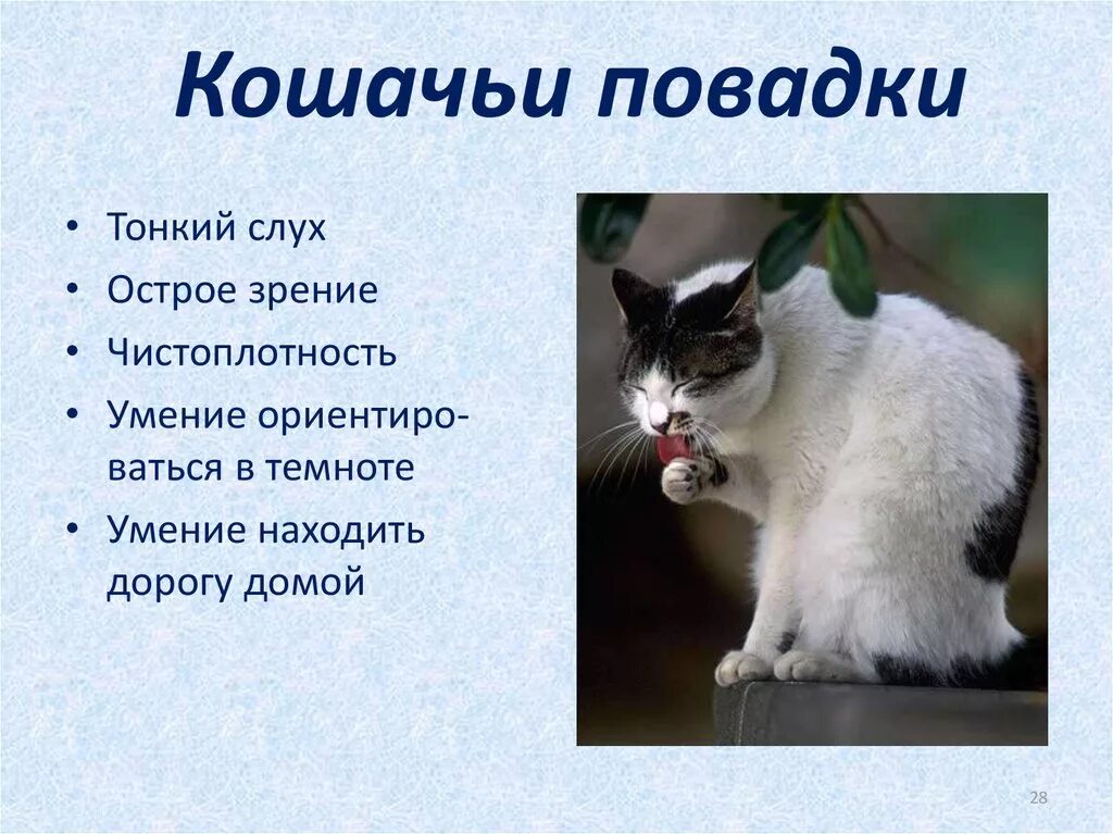 Можно ли по повадкам найти свое