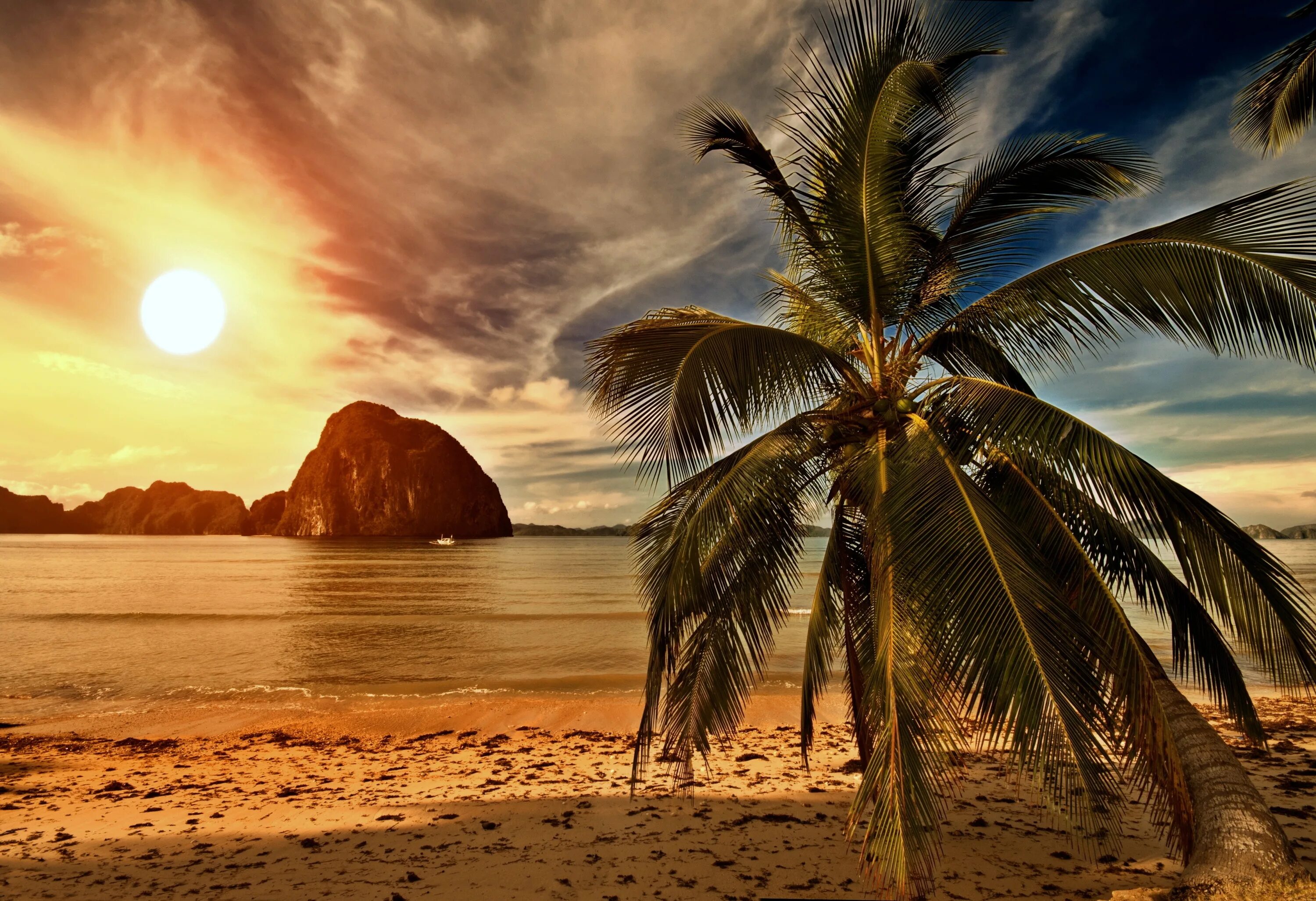 Пальмы и океан. Пляж с пальмами. Пейзаж с пальмами. Пляж закат.