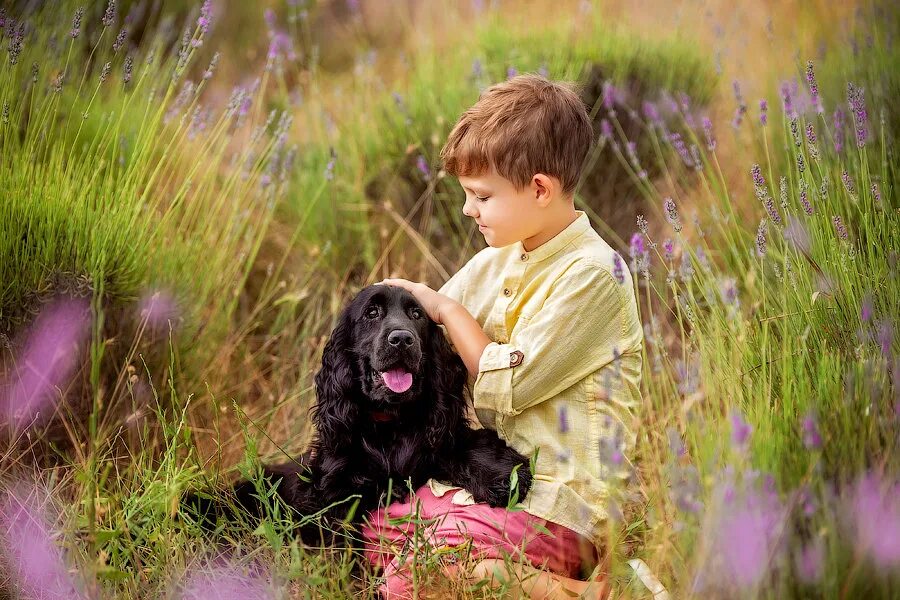 Мальчик с собакой описание. Мальчик с собакой. Картинка мальчик с собакой. Мальчик Гарет с щенком. Мальчик с собакой Заря.