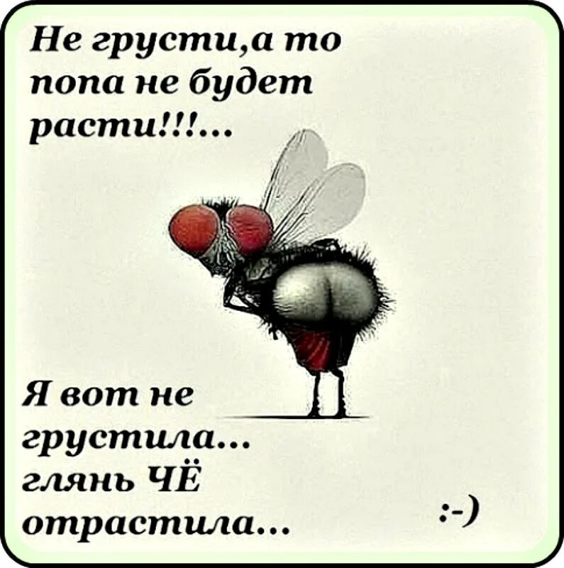 Не грусти и не бойся. Не грусти а то. Не грусти а то не будет расти.