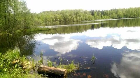 Орехово зуево озерецкий