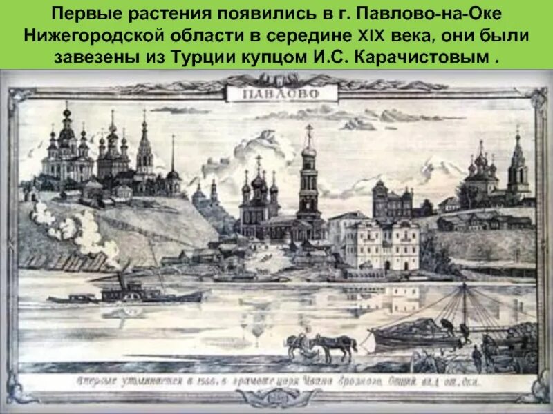 Время основания группы. Г Павлово 1566 год. Павлово основание города 1566. Село Павлово Нижегородской губернии. Павловский уезд.