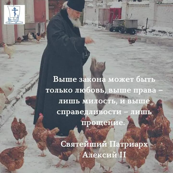 Выше закона может быть только любовь. Выше закона может быть только любовь. Выше справедливости прощение. Цитата алексия 2. Духовные мудрости в картинках в видеороликах.
