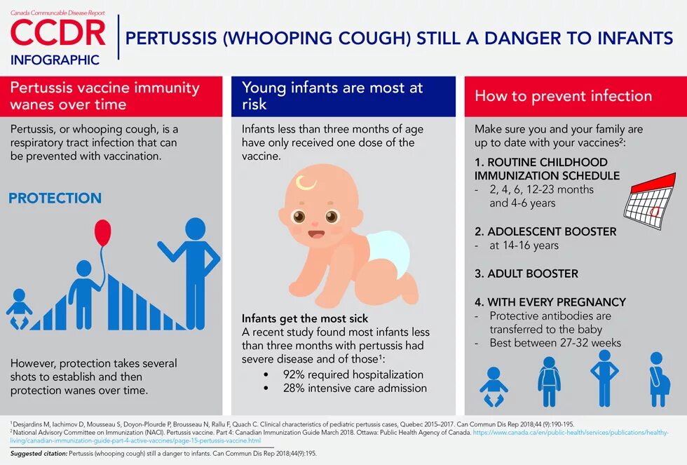 Pertussis коклюш. Whooping cough Symptoms. Whooping cough treatment. Vaccine whooping cough. Pertussis vaccine.