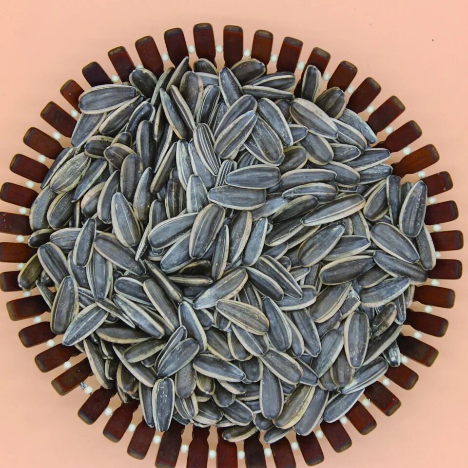 семена подсолнуха полосатые. подсолнечник полосатый. полосатая семечка. полосатые семечки подсолнечника. подсолнечник полосатый.