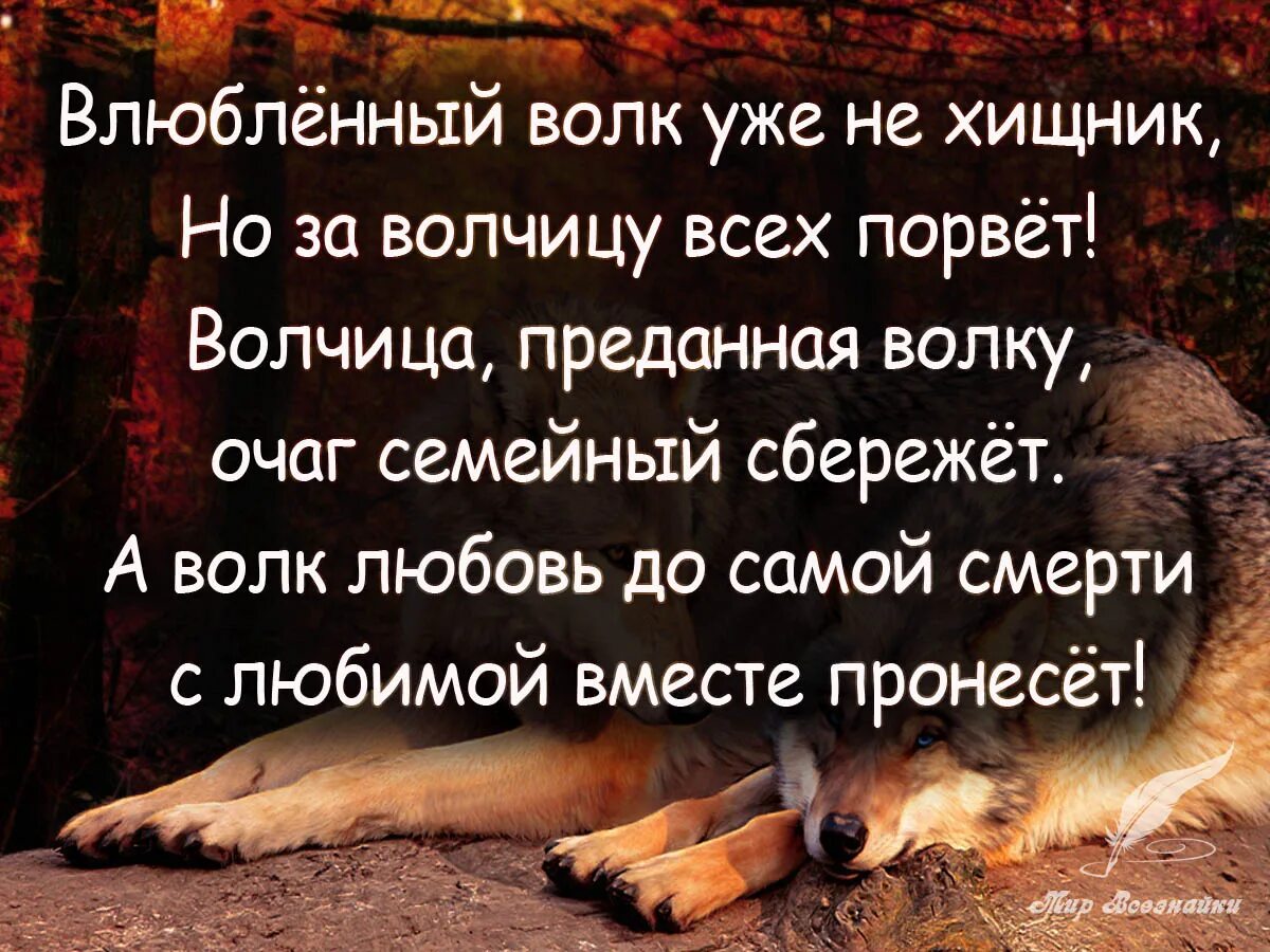 Преданное почему е
